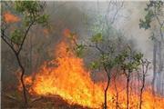 آتش‌سوزی در جنگل‌های منطقه «زمزم شاهیوند» مهار شد