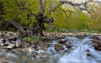 عملیات تکمیل زیرساخت‌های گردشگری سراب کهمان بزودی آغاز می شود