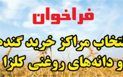 فراخوان انتخاب مراکز خرید گندم و دانه های روغنی سال 1404